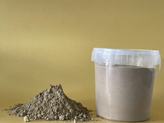 Steinpilzpulver (500 Gramm)