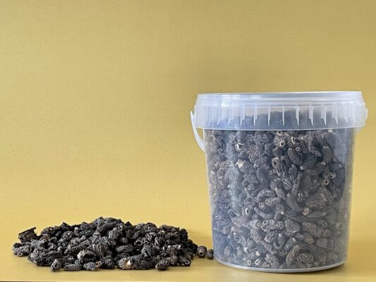 Spitz-Morcheln-Mini (25 Gramm)